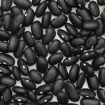 Квасоля оптом від виробника з доставкою