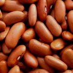 Оптовий продаж квасолі в Україні