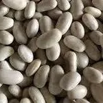 Насіння квасолі Неві Бінс,  Червона довга,  Пінто,  Червона Шап