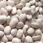 Купуємо квасолю на переробку,  консервування. Самовивіз по Україні