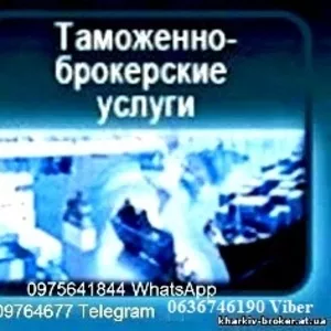 послуги митного брокера по розмитненню автомобілів та товарів