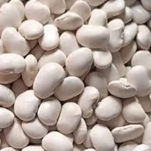 Купуємо квасолю на переробку,  консервування. Самовивіз по Україні